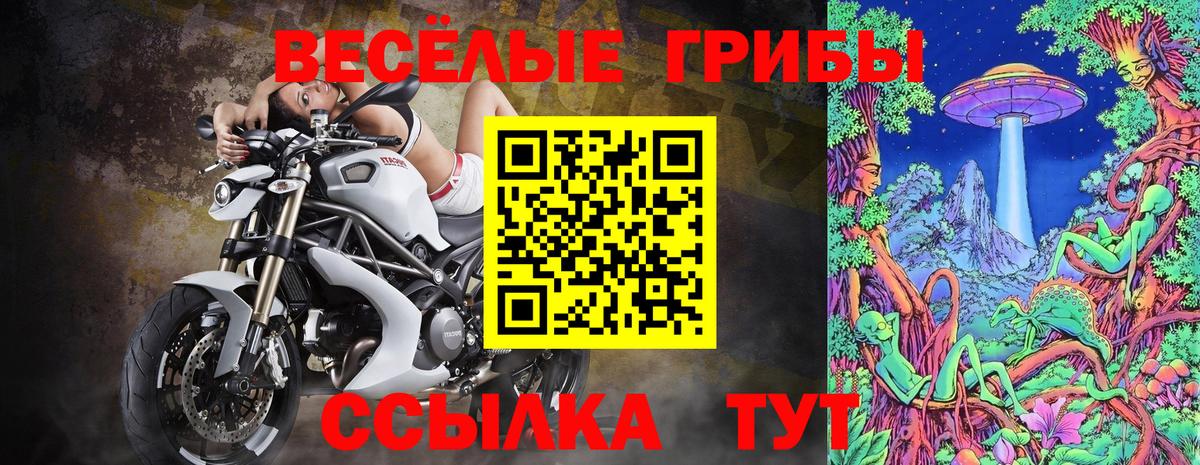 Псилоцибиновые грибы Cubensis Алексеевка