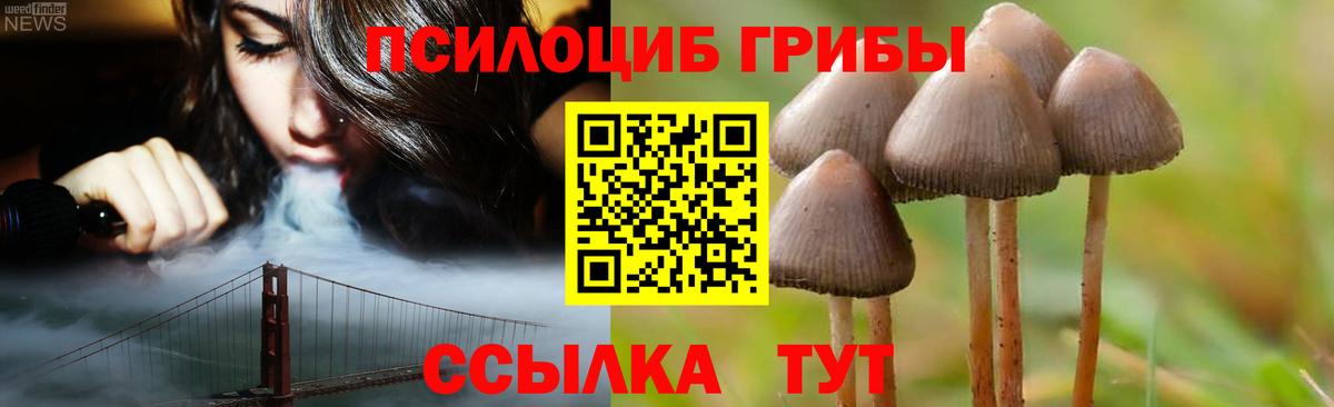 Галлюциногенные грибы Psilocybine cubensis  Галлюциногенные грибы мицелий  Вход с VPN  Алексеевка 