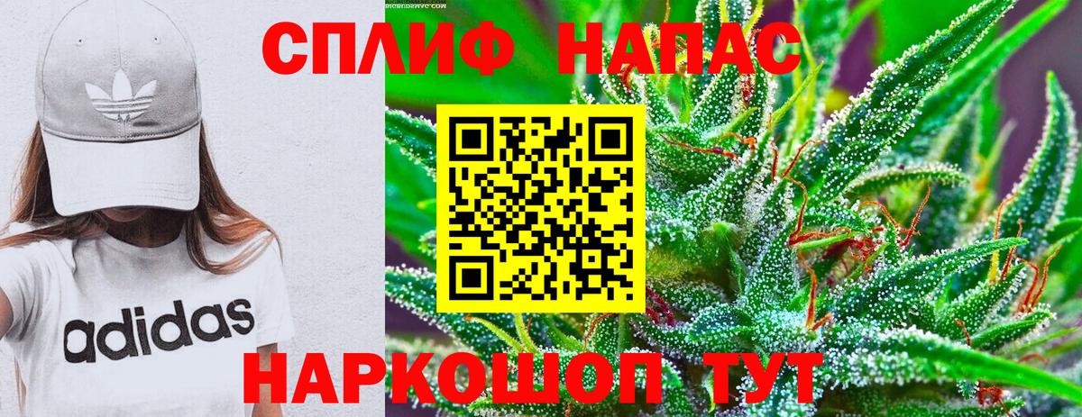 Канабис сатива Алексеевка
